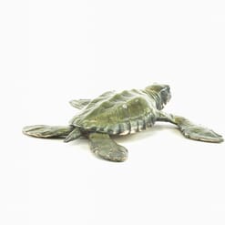 Bronze Baby Sea Turtle Sculpture-3