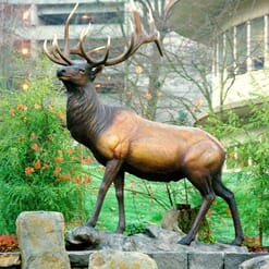 Bronze Bull Elk Sculpture-1