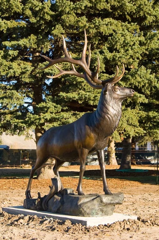 Bronze Bull Elk Sculpture-2