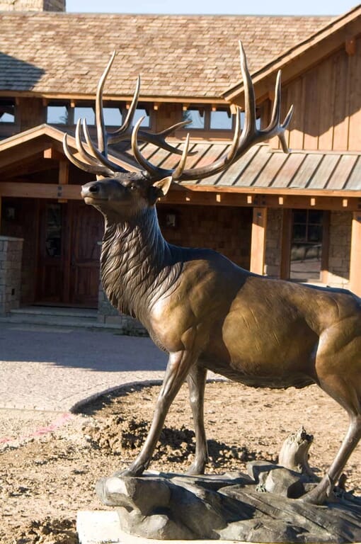 Bronze Bull Elk Sculpture-6