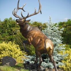 Bronze Bull Elk Sculpture - Challenge Accepted-2