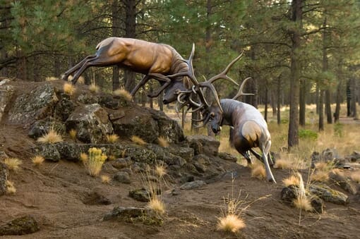 Bronze Bull Elk Sculpture - The Battle-3