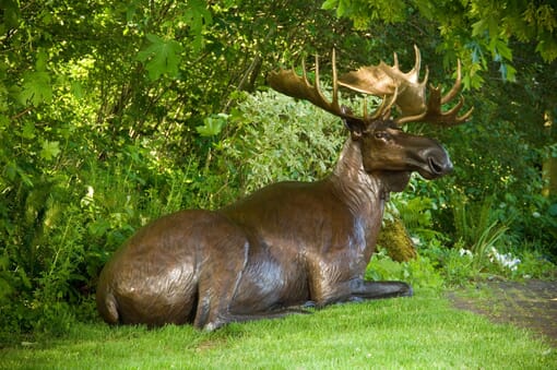 Bronze Bull Moose Sculpture - Power of Presence-1