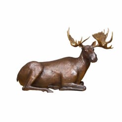Bronze Bull Moose Sculpture - Power of Presence-3