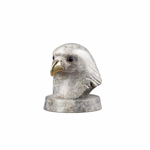 Bronze Eagle Bust Sculpture