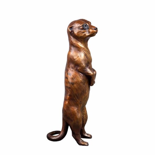 Bronze Meerkat Sculpture-2