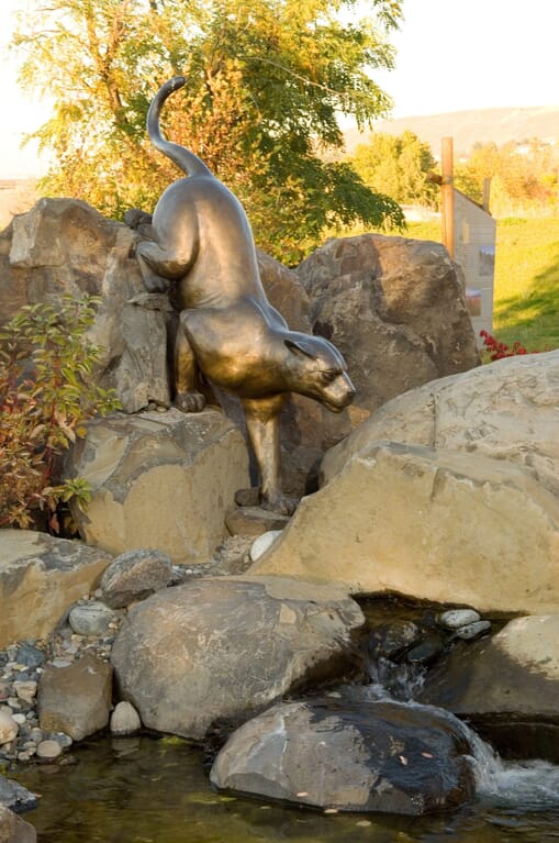 Bronze Mountain Lion Sculpture-1