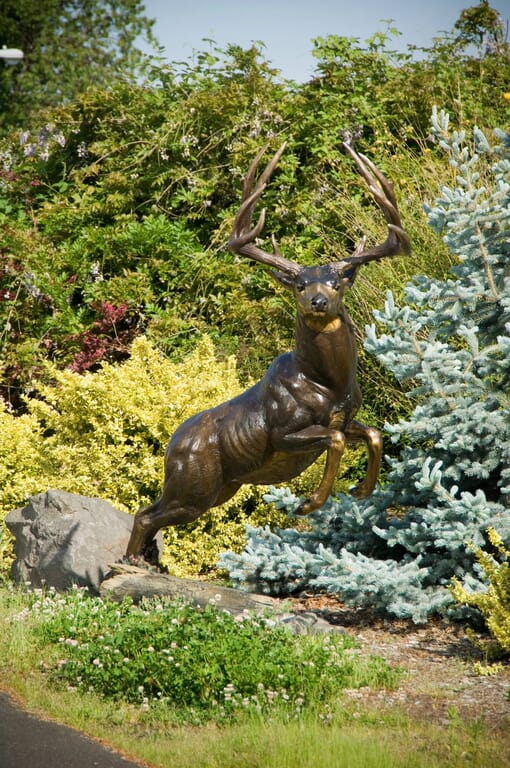 Bronze Mule Deer Sculpture - Woodland Dash-1