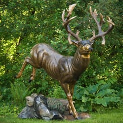 Bronze Mule Deer Sculpture