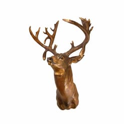 Bronze Mule Deer Shoulder Mount Sculpture