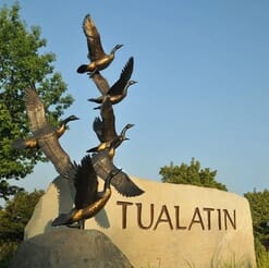 Tualatin Geese Entryway-1